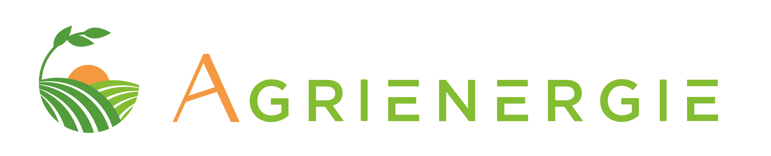 Logo de la SAS Agrienergie
