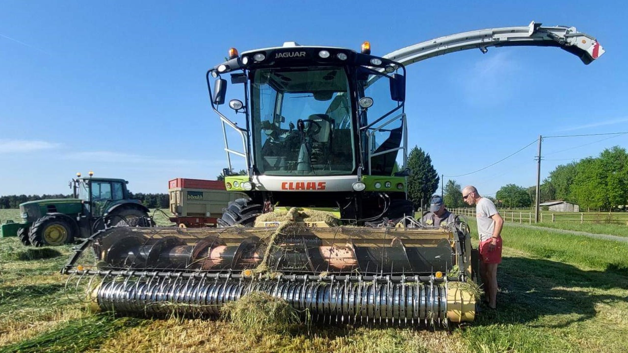 Des agriculteurs s'affairent autour d'une ensileuse